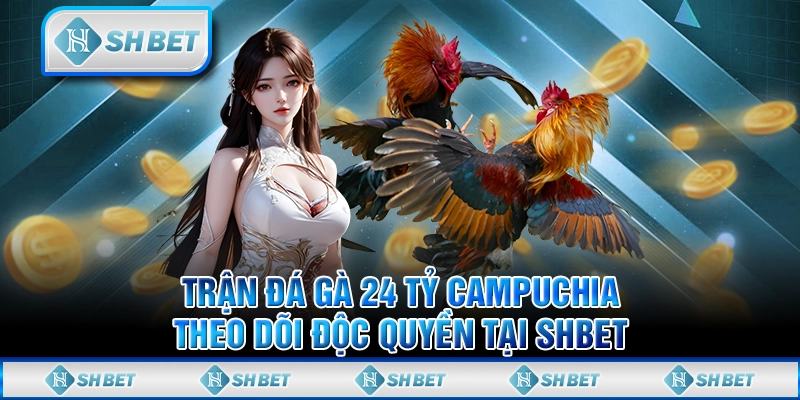 Trận Đá Gà 24 Tỷ Campuchia - Theo Dõi Độc Quyền Tại SHBET