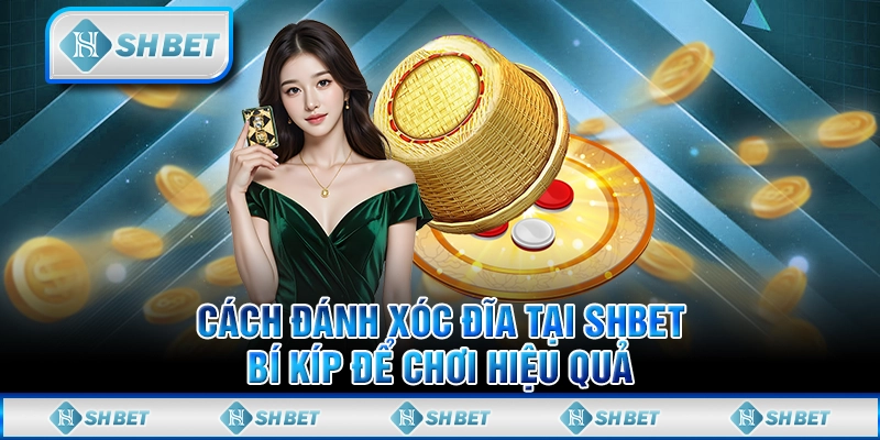 Cách Đánh Xóc Đĩa Xanh Chín Tại Shbet - Bí Kíp Hiệu Quả