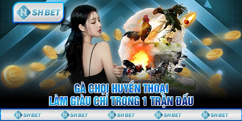 Gà Chọi Huyền Thoại: Làm Giàu Chỉ Trong 1 Trận Đấu