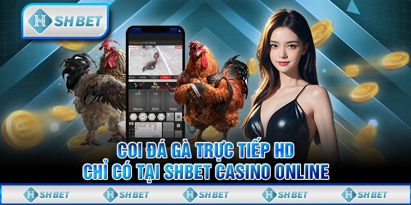 Coi Đá Gà Trực Tiếp HD Chỉ Có Tại SHBET Casino Online