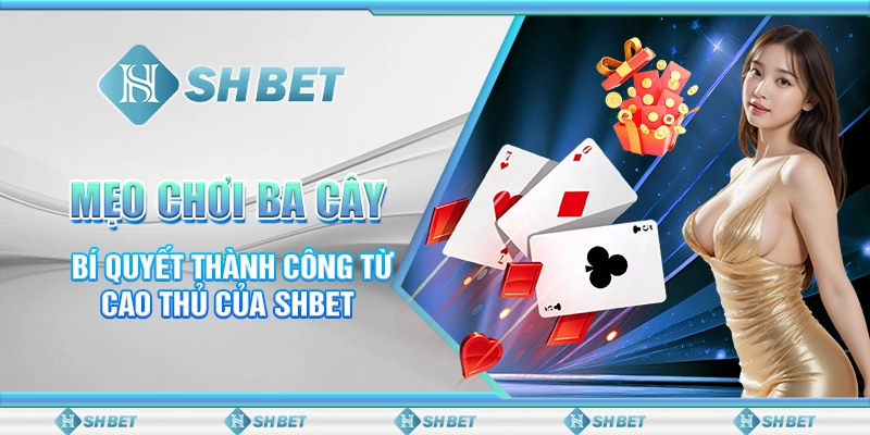 Mẹo Chơi Ba Cây: Bí Quyết Thành Công Từ Cao Thủ Của SHBET