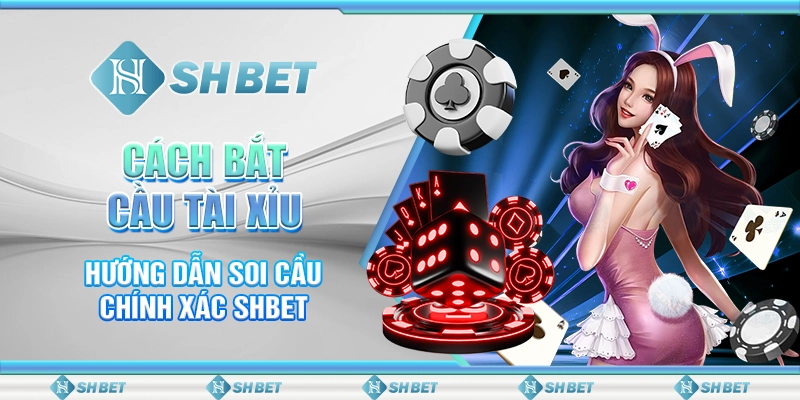 Cách Bắt Cầu Tài Xỉu - Hướng Dẫn Soi Cầu Chính Xác SHBET