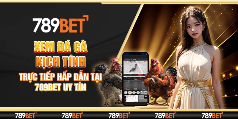 Xem Đá Gà Kịch Tính - Trực Tiếp Hấp Dẫn Tại 789Bet Uy Tín