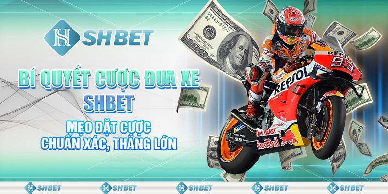 Bí Quyết Cược Đua Xe SHBET - Mẹo Đặt Cược Chuẩn Xác, Thắng Lớn