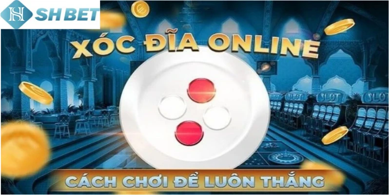 Cập nhật về chiến thuật đánh theo dây trong xóc đĩa online