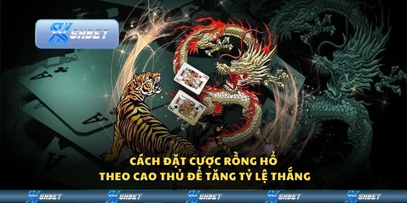 Cách đặt cược Rồng Hổ theo cao thủ để tăng tỷ lệ thắng