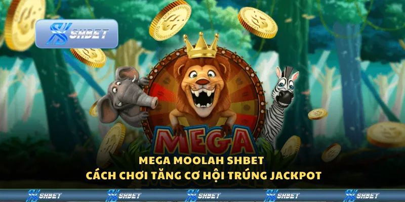 Mega Moolah Shbet – Cách chơi tăng cơ hội trúng jackpot