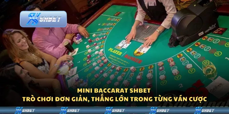 Mini Baccarat Shbet - Trò chơi đơn giản, thắng lớn trong từng ván cược